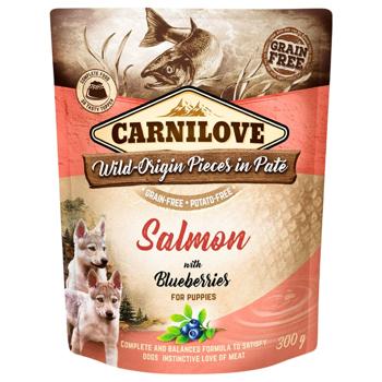 Food Carnilove 300g - buy, prices for MasterZoo - photo 1