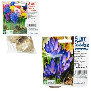 C Bulbs - buy, prices for Tavria V - photo 1