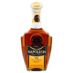 Napoleon Charles Louis VS 3 Years Cognac of Ukraine 40% 0.5l