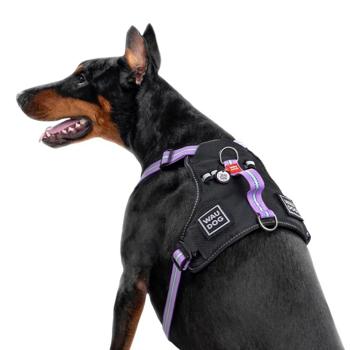 Leash "collar company" llc Ukraine - buy, prices for MasterZoo - photo 2