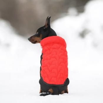 Курточка для собак AiryVest Uni р.S38 червоний-чорний - купити, ціни на MasterZoo - фото 2