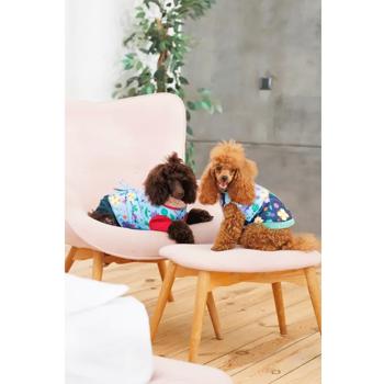 Костюм для собак Pet Fashion Alisa XS - купити, ціни на MasterZoo - фото 8