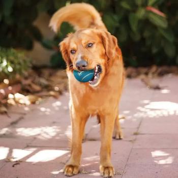 Toy Outward hound Sweden - buy, prices for MasterZoo - photo 3