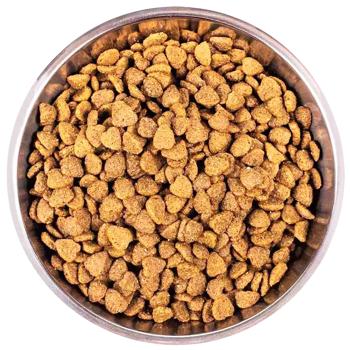 Корм сухий Monge Indoor з куркою та рисом для домашніх котів 400г - купити, ціни на MasterZoo - фото 3