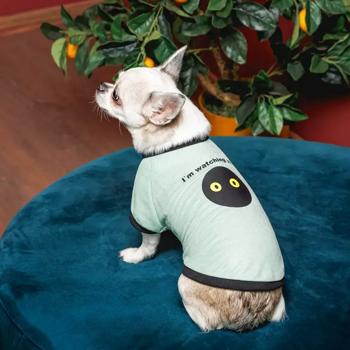 Pet Fashion Oscar T-shirt for Dogs s.L - buy, prices for MasterZoo - photo 2