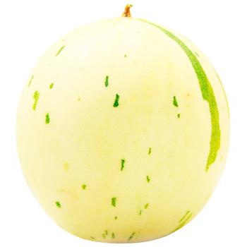 Fruit melon fresh - buy, prices for WINETIME - photo 1