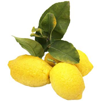 fruit lemon Without brand fresh Italy