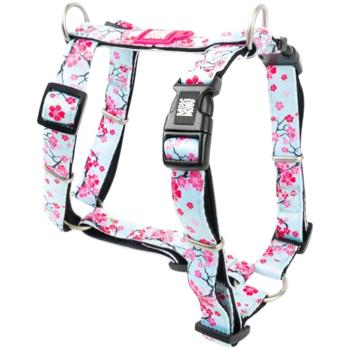Leash Max and molly Germany - buy, prices for MasterZoo - photo 1