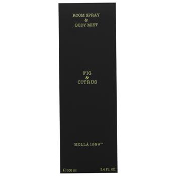 Cereria Molla Premium Fig & Citrus Aromaspray 100ml - buy, prices for WINETIME - photo 2