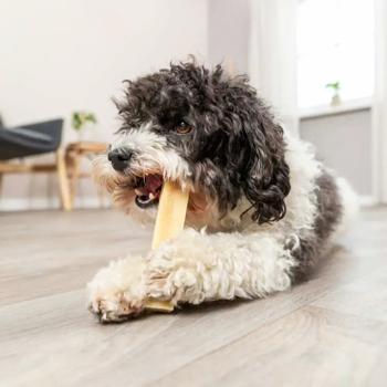Ласощі для собак Trixie Chewing Паличка XS 13,5 см / 30 г - сир - купити, ціни на MasterZoo - фото 6