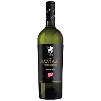 Tetri Alazanska Valley White Semi-Sweet Wine 0.75l 9-13% - buy, prices for MegaMarket - photo 1