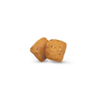 Сухий корм для собак Green Petfood InsectDog Adult Hypoallergen 10 кг - комахи - купить, цены на MasterZoo - фото 2