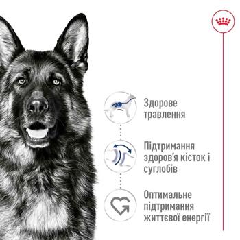 Royal Canin Maxi Adult Dry Food with Poultry for Dogs of Large Breeds 3kg - buy, prices for MasterZoo - photo 3