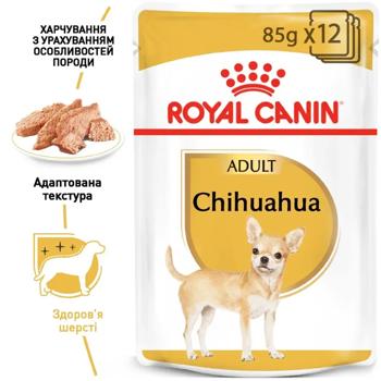 Royal Canin Adult Wet Food with Poultry for Dogs of Chihuahua Breed 9+3pcs*85g - buy, prices for MasterZoo - photo 3