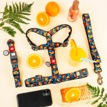 Waudog Nylon Dog Collar with QR Passport 28-40cm/20mm with Design of Oranges - buy, prices for MasterZoo - photo 5