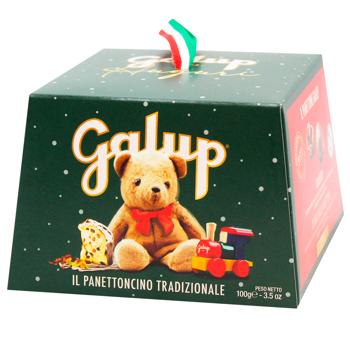 Galup Traditional Panettone 100g