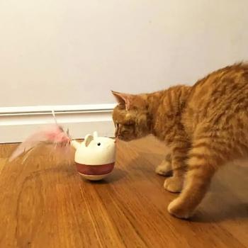 Nina Ottosson Mouse Cat Toy - buy, prices for MasterZoo - photo 3