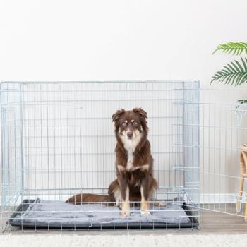 Trixie Dog Cage 116x86x77cm - buy, prices for - photo 4