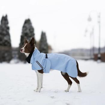 Raincoat Noble pet 3xl Ukraine - buy, prices for MasterZoo - photo 5