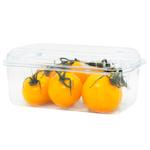 Yellow Tomato on Branch