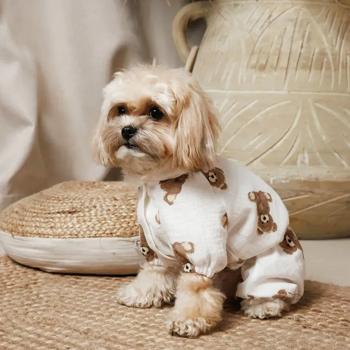 Комбінезон для собак Pet Fashion Pluto XXS - білий - купити, ціни на MasterZoo - фото 5