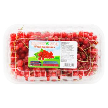 Red Currant 250g - buy, prices for METRO - photo 6