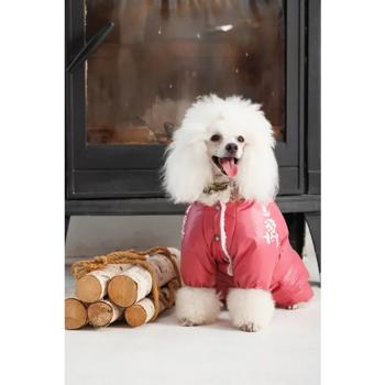 Combination Pet fashion - buy, prices for MasterZoo - photo 6