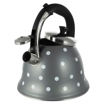 Kamille KM1099 Kettle with Whistle 2.5l - buy, prices for - photo 1