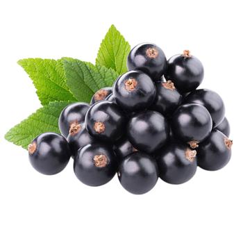 Смородина черная - купить, цены на Таврия В - фото 1