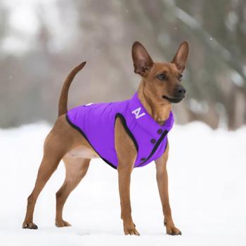 AiryVest One Dog Jacket s.S40 Purple - buy, prices for MasterZoo - photo 5