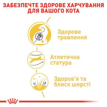 Корм сухой Royal Canin с домашней птицей для взрослых кошек бенгальской породы 2кг - купить, цены на - фото 4