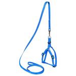 Leash Collar