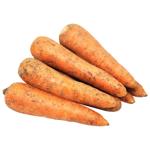 Carrot