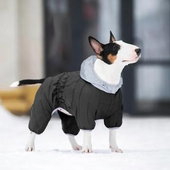 AiryVest One Overalls for Dogs s.XS30 - buy, prices for MasterZoo - photo 3