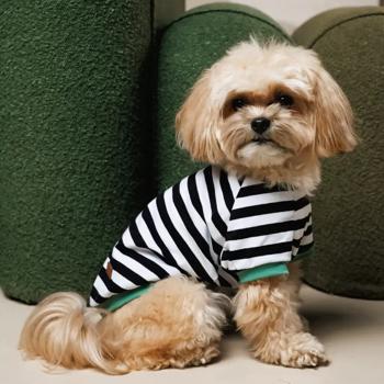 Футболка для собак Pet Fashion Breeze р.S бело-черный - купить, цены на MasterZoo - фото 7