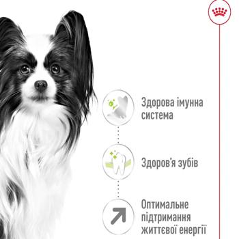 Корм сухий Royal Canin X-Small Adult 8+ з домашньою птицею для собак мініатюрних порід 3кг - купити, ціни на MasterZoo - фото 3