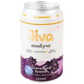 Jiva Crazy Elderberry Kombucha 0.33l - buy, prices for WINETIME - photo 1