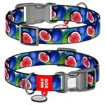 Waudog Fig Nylon Dog Collar with QR Passport XS 20-30cm