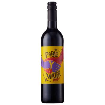 Вино Pablo y Walter Malbec червоне сухе 13,5% 0,75л - купити, ціни на Чудо Маркет - фото 1