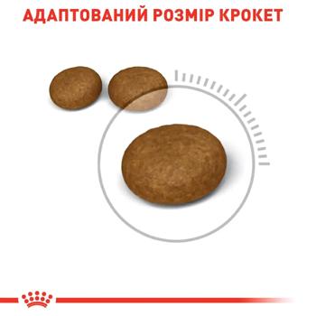 Корм сухий Royal Canin Care Hair & Skin з домашньою птицею для здоров'я шкіри та шерсті котів 2кг + 400г - купити, ціни на MasterZoo - фото 2