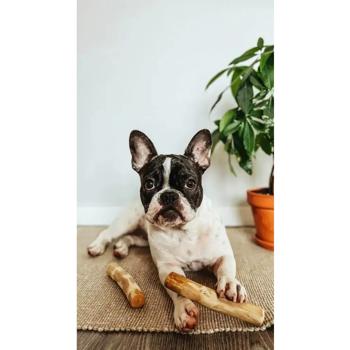 Іграшка для собак HealthyDoggo Палиця з кавового дерева XS 13-14см - купити, ціни на MasterZoo - фото 6
