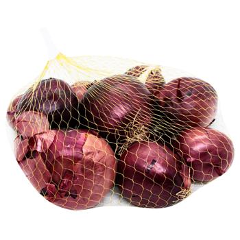 Blue Onion - buy, prices for WINETIME - photo 1