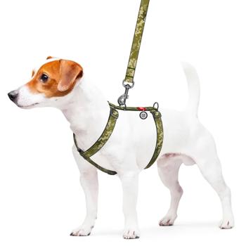 Leash - buy, prices for MasterZoo - photo 2