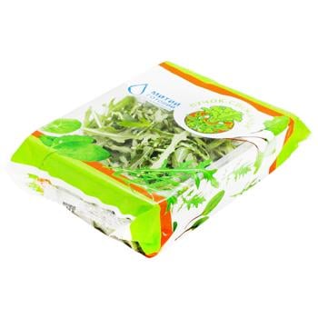 Puchok-Svizhachok Arugula Salad 75g - buy, prices for COSMOS - photo 1