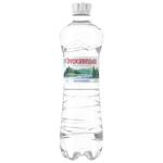 Вода мінеральна Трускавецька негазована 0,75л