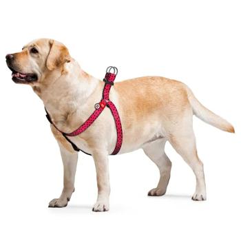 Waudog Nylon Harness for Dogs with QR Passport 40-55cm/15mm with Watermelon Design - buy, prices for MasterZoo - photo 2