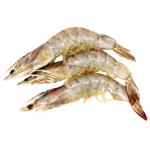 Whiteleg Shrimp 30/40