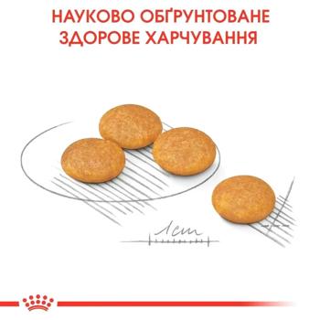 Dog food Royal canin 3000g - buy, prices for MasterZoo - photo 2
