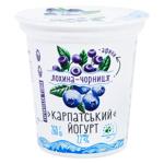 Galychyna Carpathian Blueberry-Bilberry Flavored Yogurt 2.2% 260g