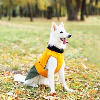 Pet Fashion Roy Body-Cloth for Dogs s.XL Khaki-mustard - buy, prices for - photo 6